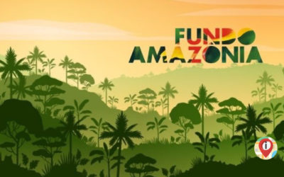 Fundo Amazônia: investimento na conservação das florestas