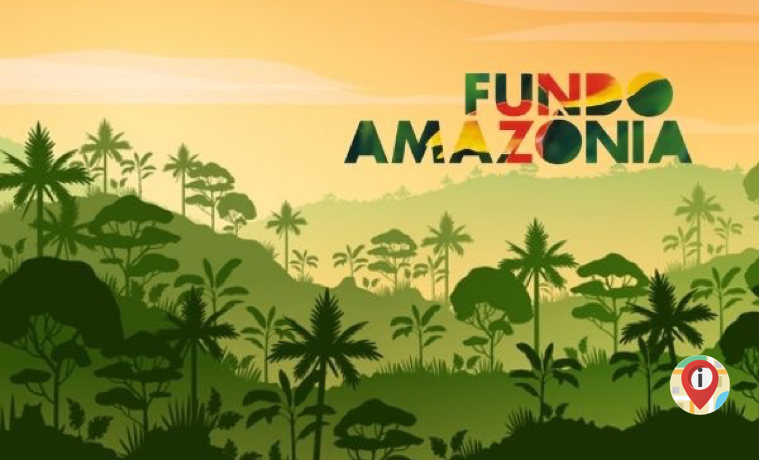 BLOG_Por que empresas e governos investem em conservação das florestas_ Conheça o Fundo Amazônia