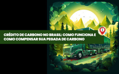 Crédito de Carbono no Brasil: Como Funciona e Como Compensar Sua Pegada de Carbono